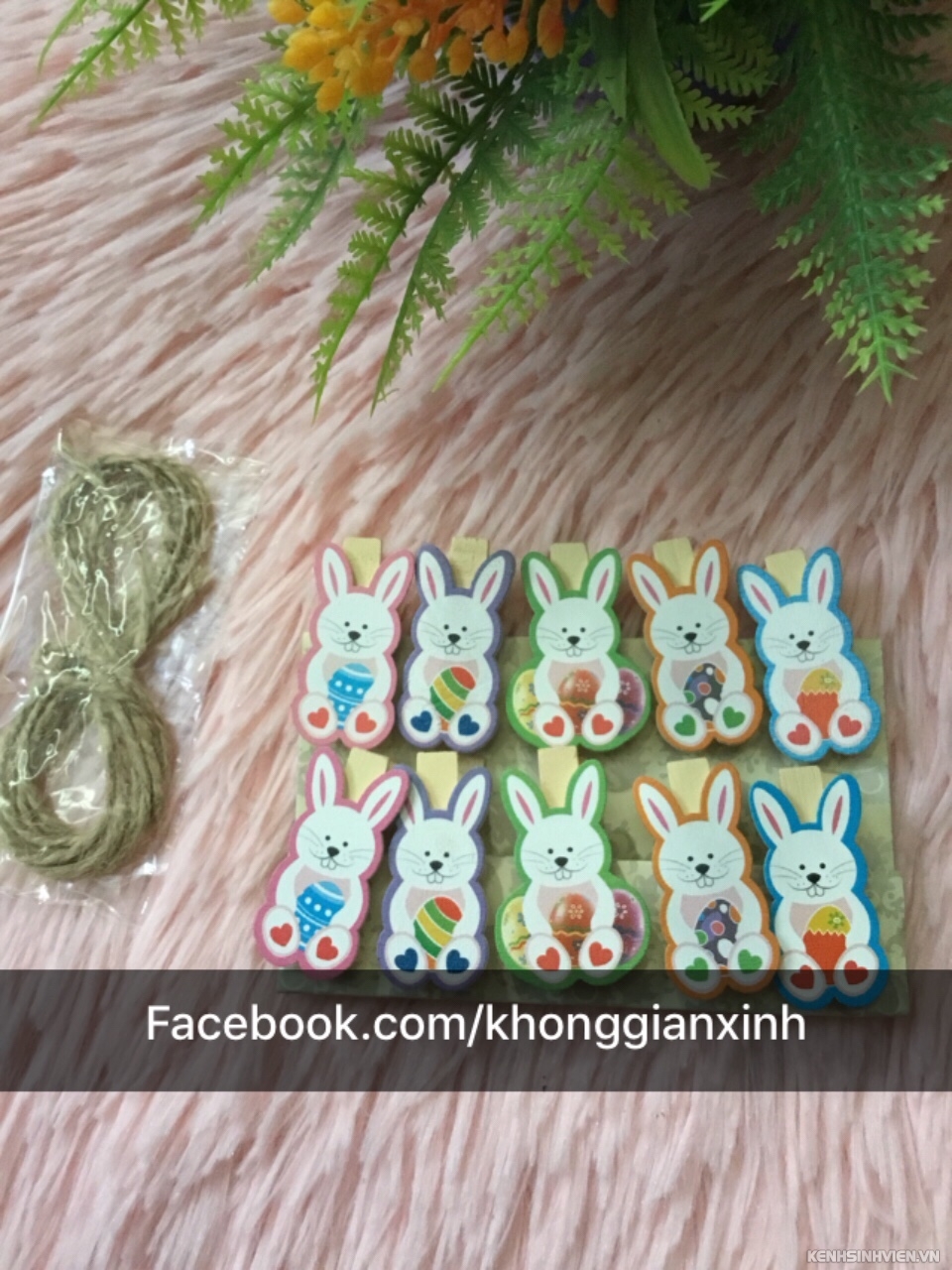 Kẹp gỗ kẹp ảnh trang trí, vòng gỗ dán tường - 6