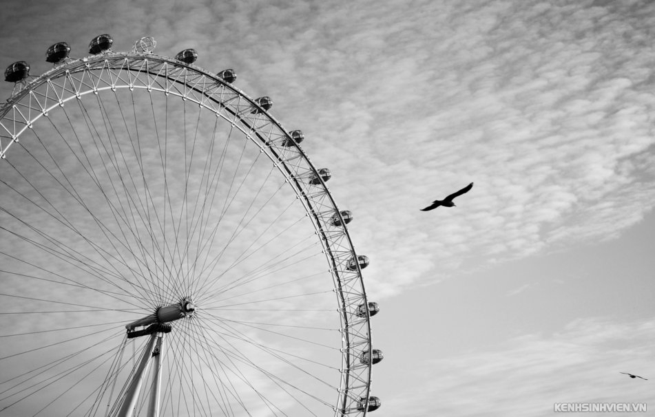 225999-london-london-ferris-wheel-london-eye-london-eye-birds-flying-black-and-white-sky-clouds-p.jpg