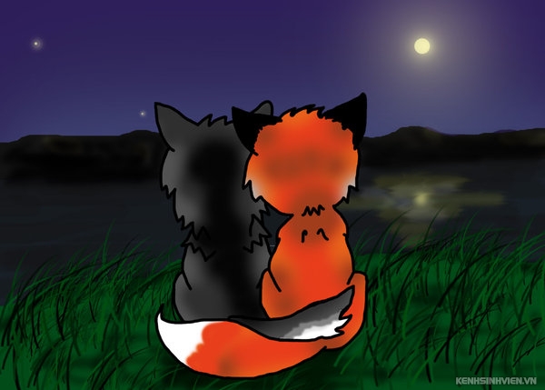 fox-and-wolf-moon-gazing-by-ashwolves5.jpg