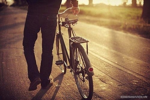 75382044d67463.img.jpg