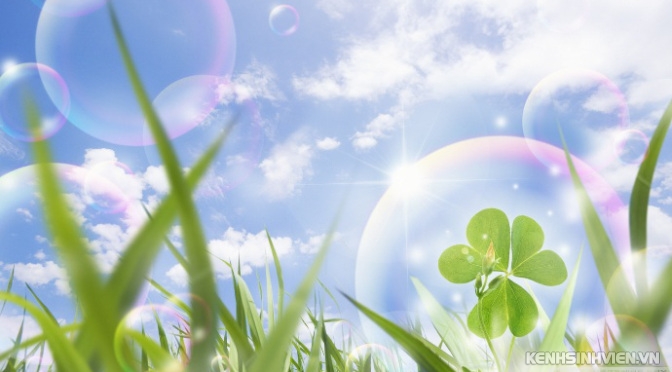 lucky-clover-00447021.jpg