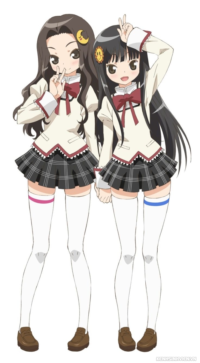 55794496.jpg