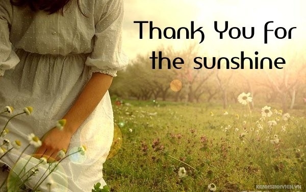 thank-you-for-a-sunshine-0-7d60f.jpg