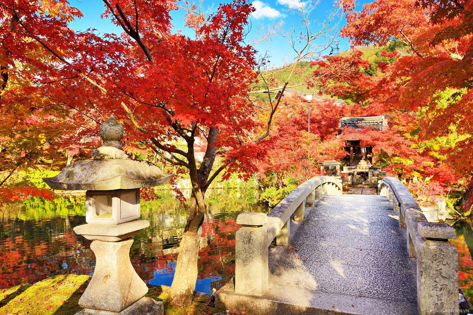 bigstock-fall-foliage-at-eikando-temple-48490142.jpg