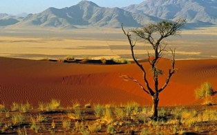 namibia-1.jpg