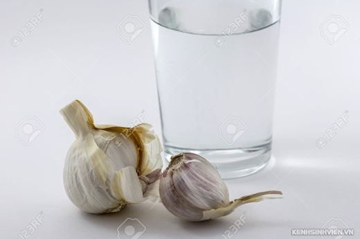 20150619-044902-26984094-glass-of-water-and-some-garlic-isolated-on-white-background-520x346.jpg