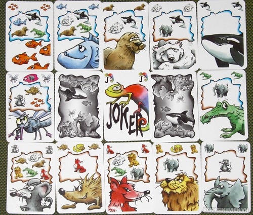 frank-zoo-board-game-da-nang-1.jpg