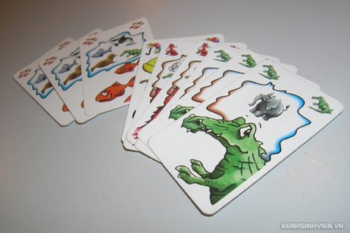 frank-zoo-board-game-da-nang-3.jpg