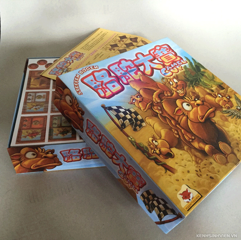 camel-up-board-game-da-nang-1.jpg
