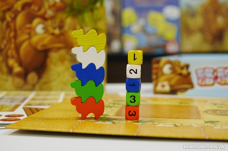 camel-up-board-game-da-nang-6.jpg