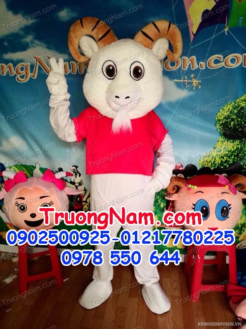 de-007-ban-cho-thue-mascot-hoat-hinh-truongnam-3-.jpg