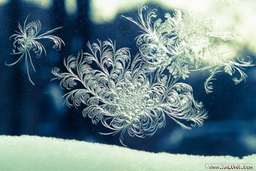 252d00f4b18e57.img.jpg