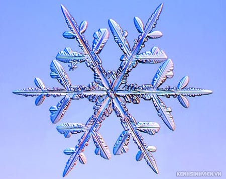snow5.jpg
