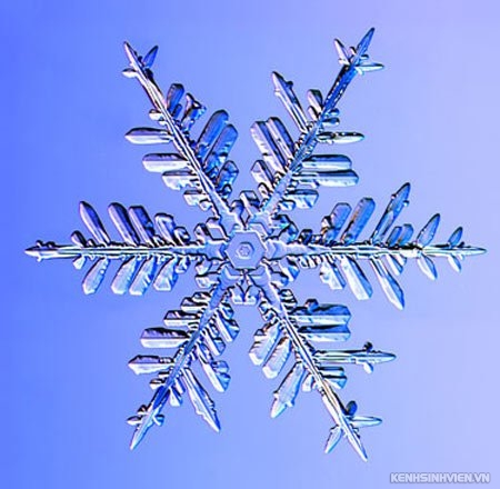 snow6.jpg
