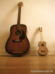 shop-guitar-minh-phat-dan-guitar-dan-ukulele-3-225x300.jpg