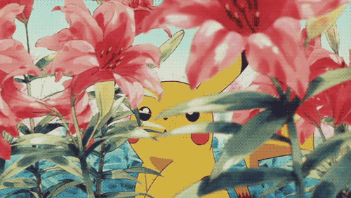 original-5-.gif