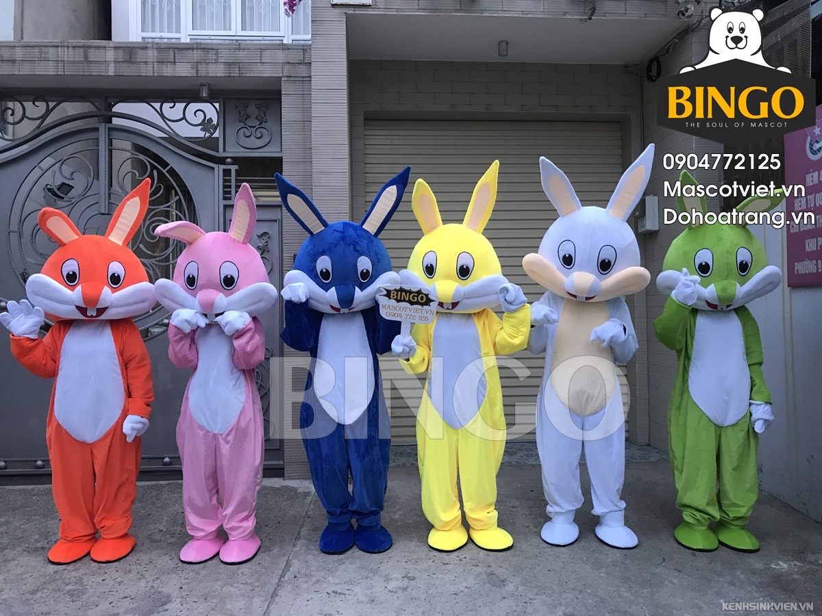 mascot-con-tho-bingo-costumes-3-.jpg