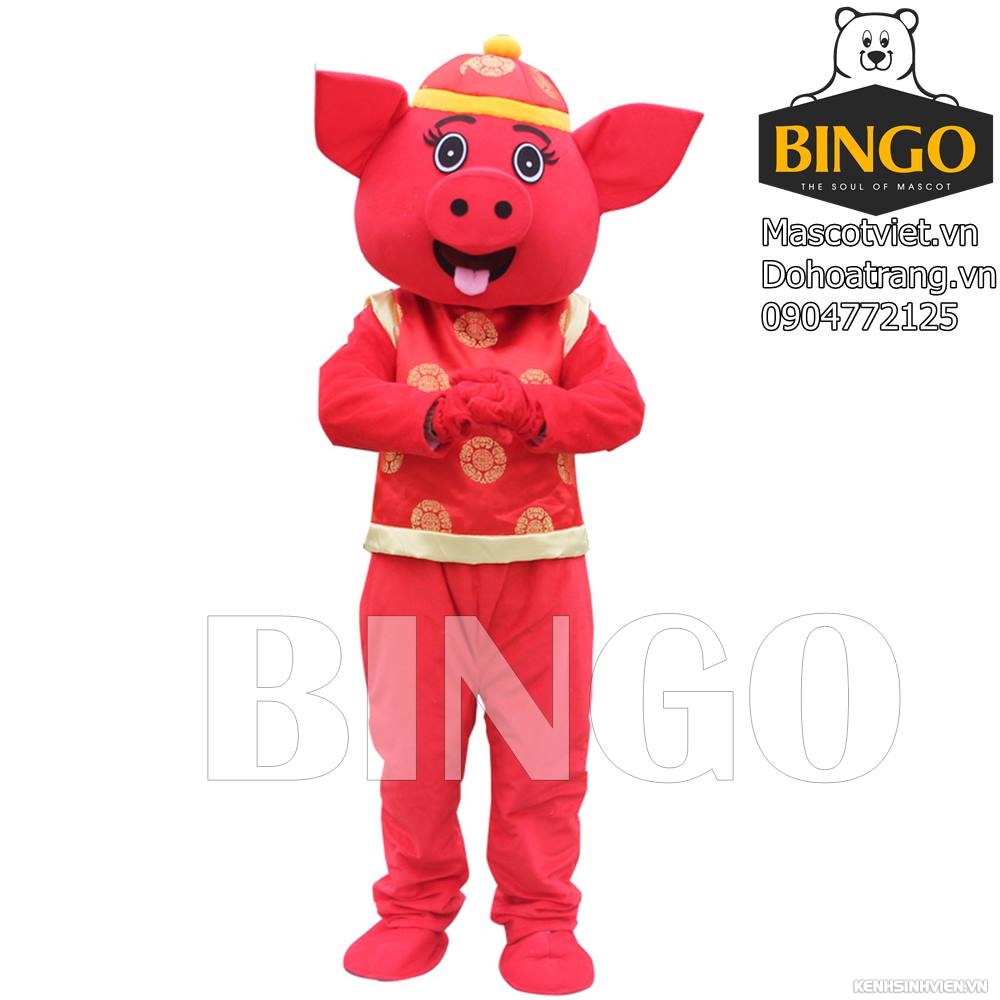 mascot-con-heo-2019-mascot-bingo-costumes-0904772125-3-.jpg