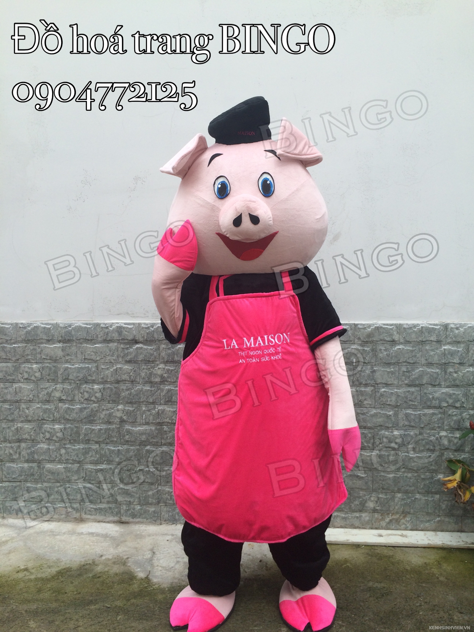 mascot-con-heo.jpg