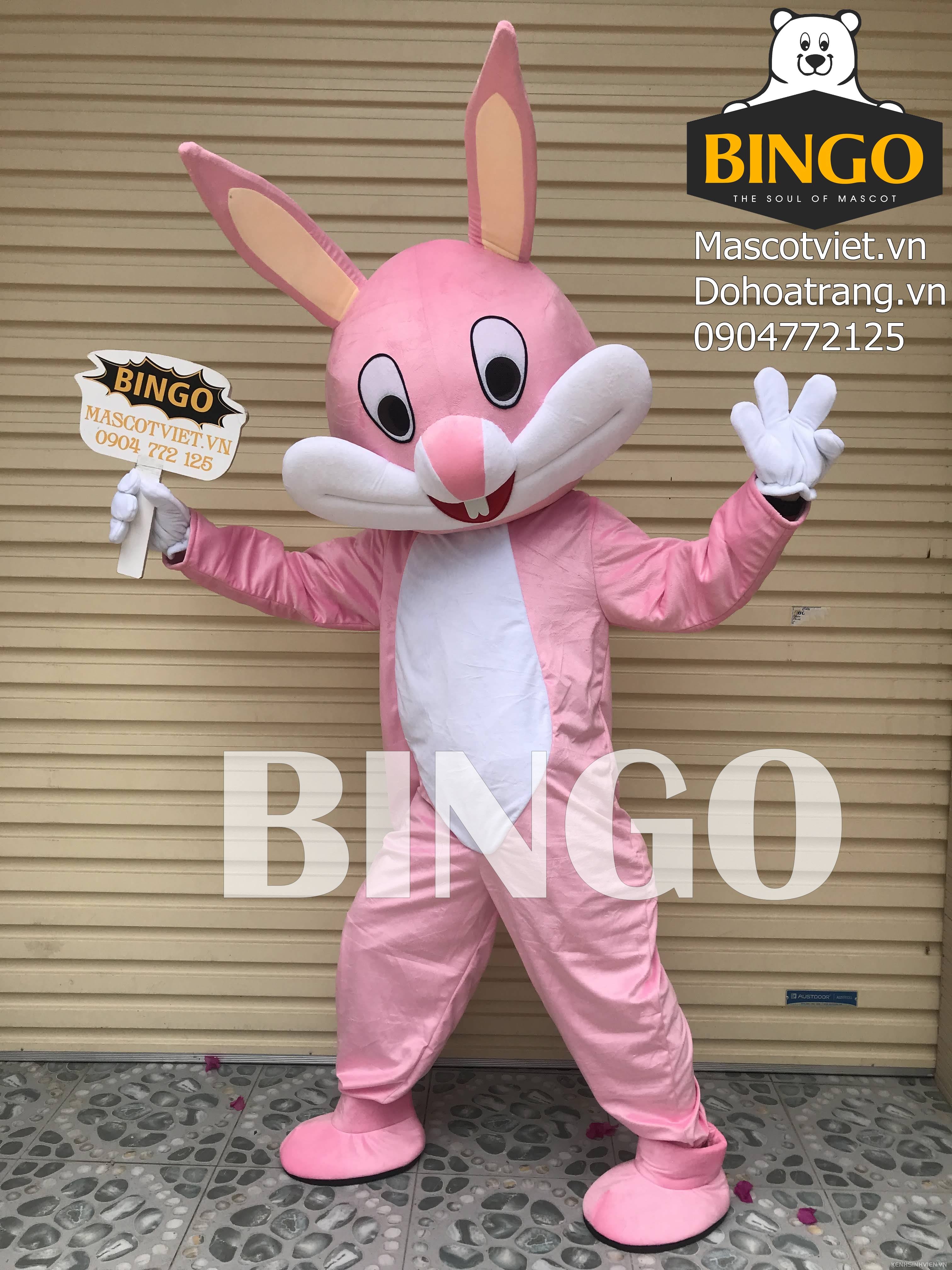 mascot-con-tho-hong-bingo-costumes-0904772125.jpg