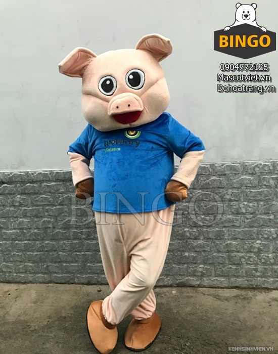 mascot-heo-hong.jpg