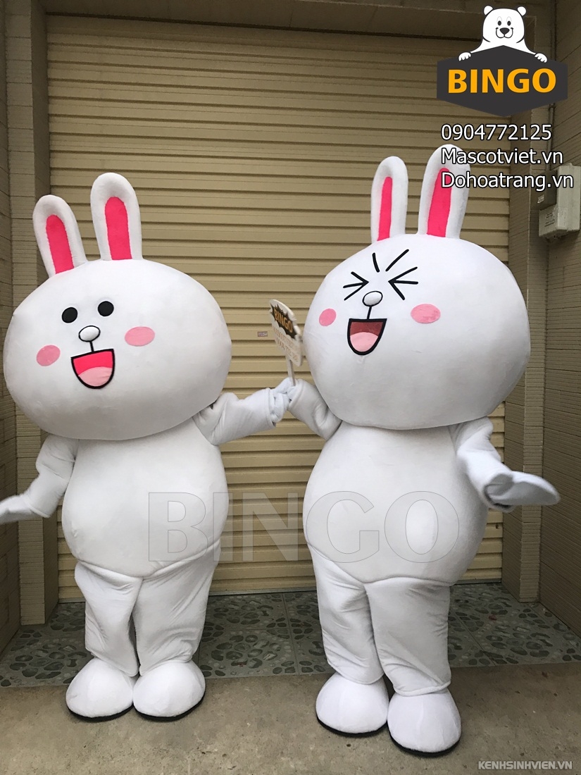 mascot-tho-cony-02-bingo-costumes-2-.jpg