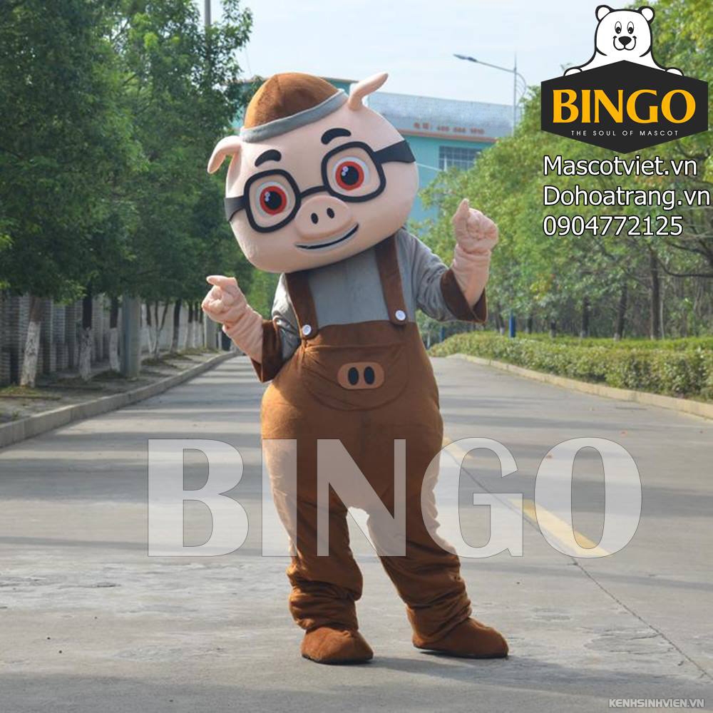 mascot-con-heo-07-mascot-bingo-costumes.jpg