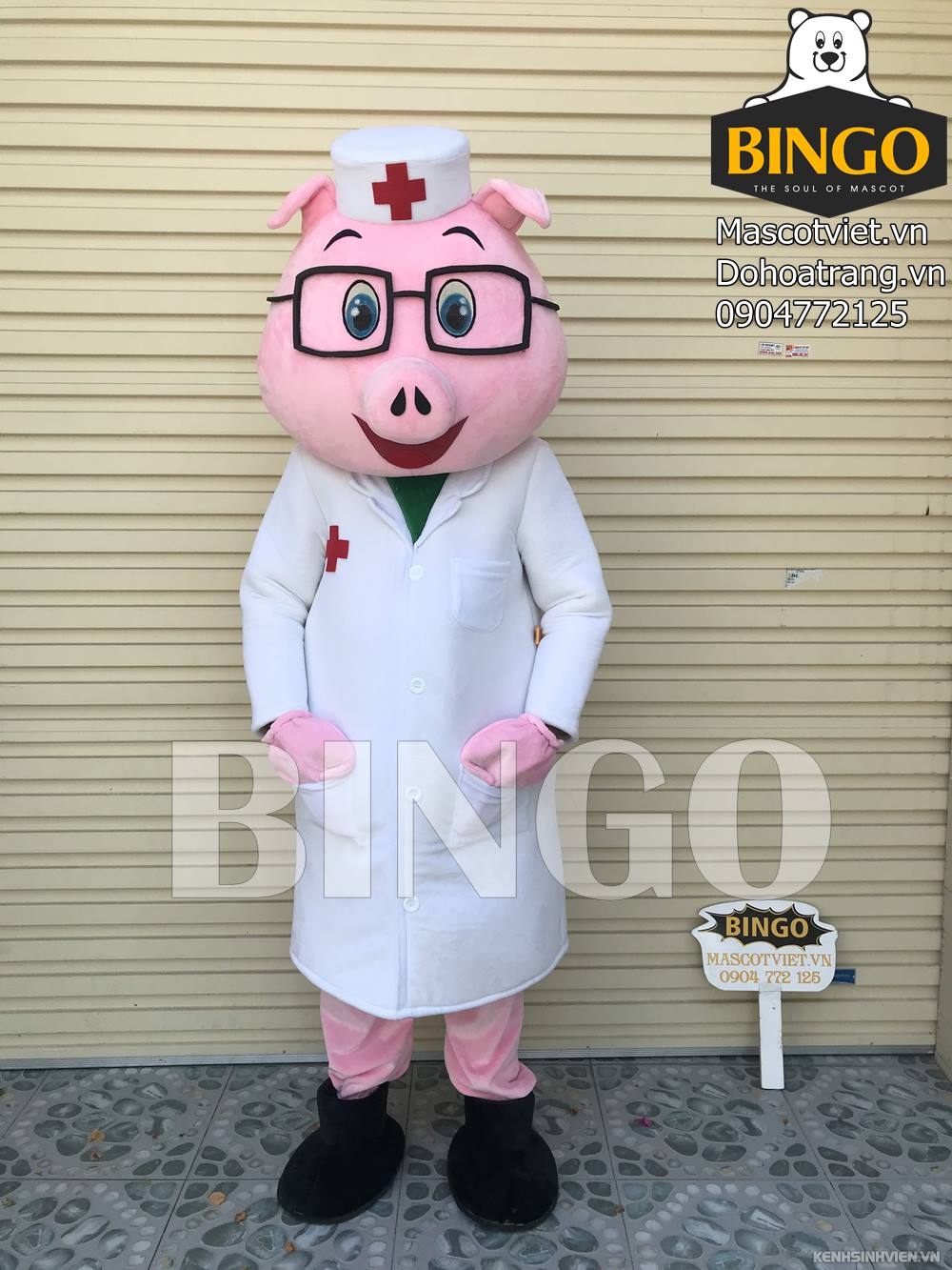 mascot-con-heo-bac-si-bingo-costumes-0904772125.jpg