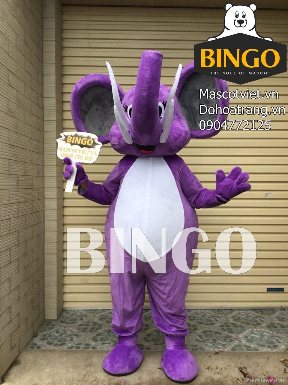 mascot-von-voi-bingo-costumes-0904772125.jpg