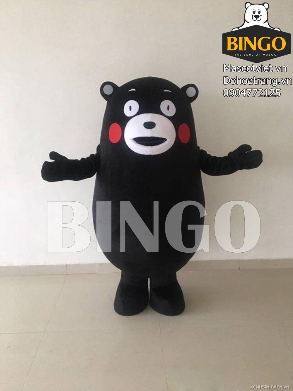 mascot-kumamon-bingo-costumes-0904772125.jpg