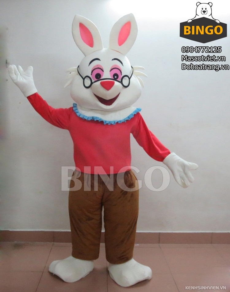 mascot-con-tho-04-bingo-costumes.jpg