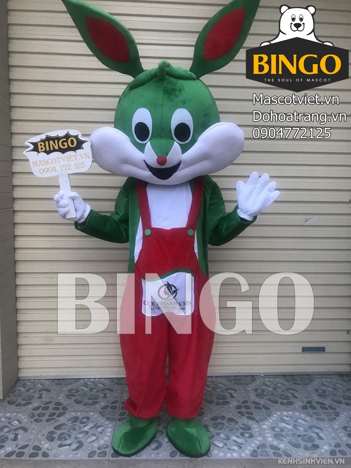 mascot-con-tho-07-bingo-costumes.jpg